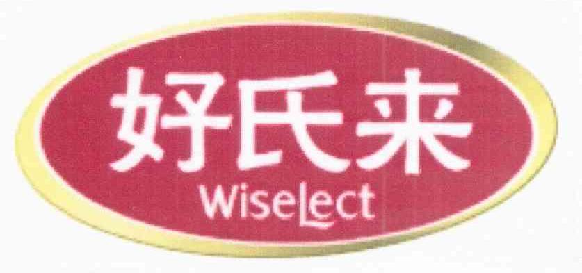 好氏来 WISELECT