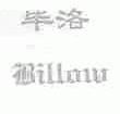 毕洛;BILLOW