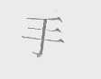 手