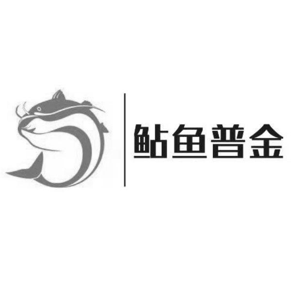 鲇鱼普金
