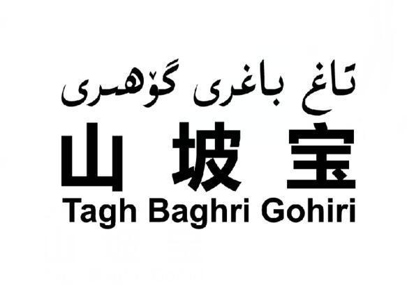 山坡宝 TAGH BAGHRI GOHIRI