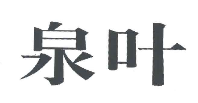 泉叶