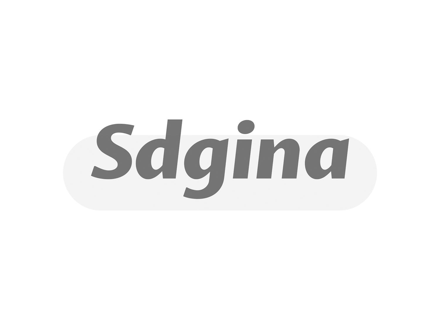 SDGINA
