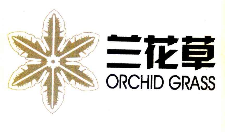 兰花草;ORCHID GRASS