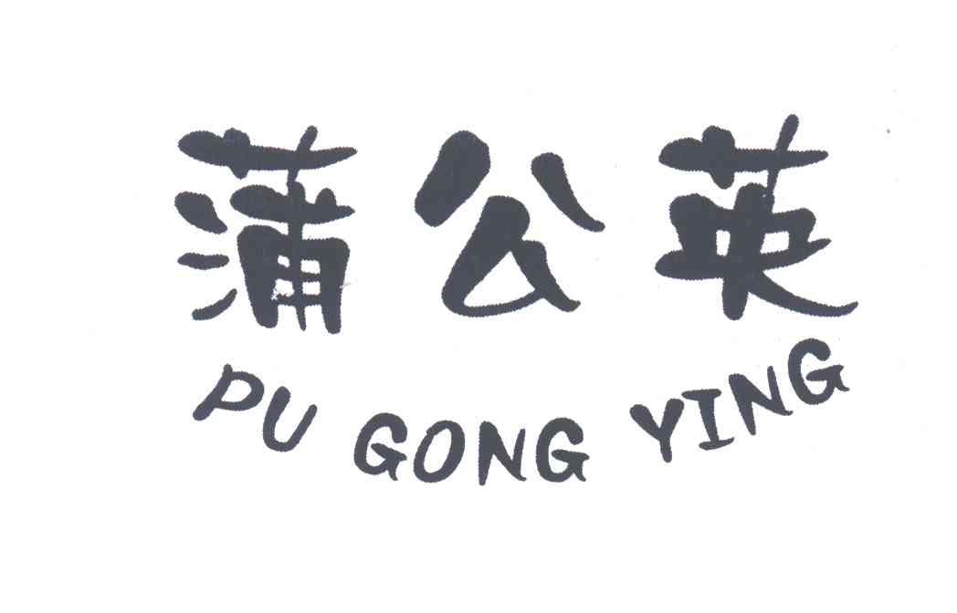 蒲公英