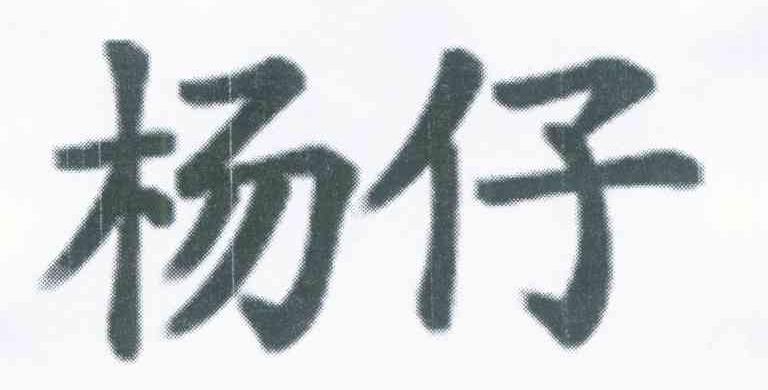 杨仔
