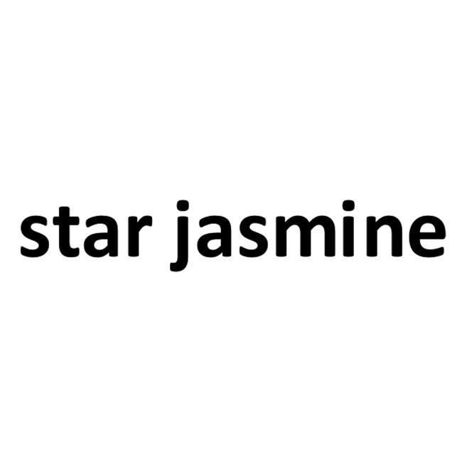 STAR JASMINE
