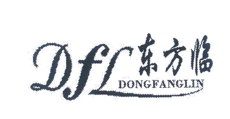 东方临 DFL