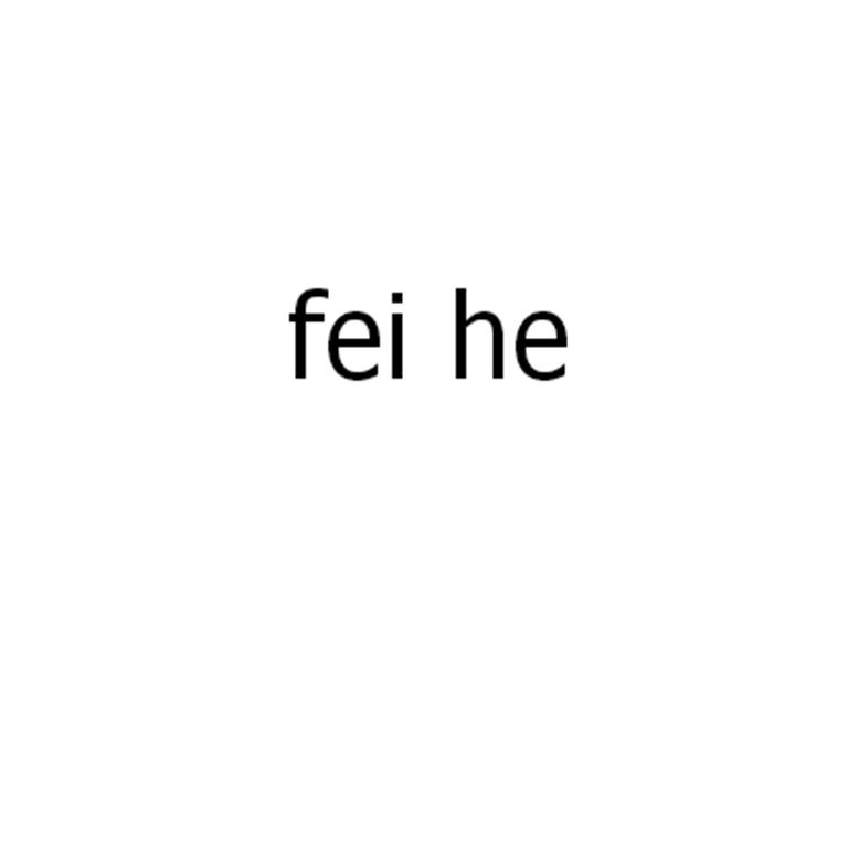 FEI HE