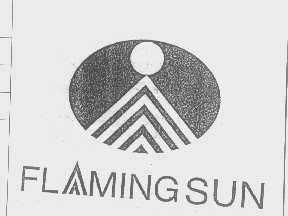 FLAMING SUN