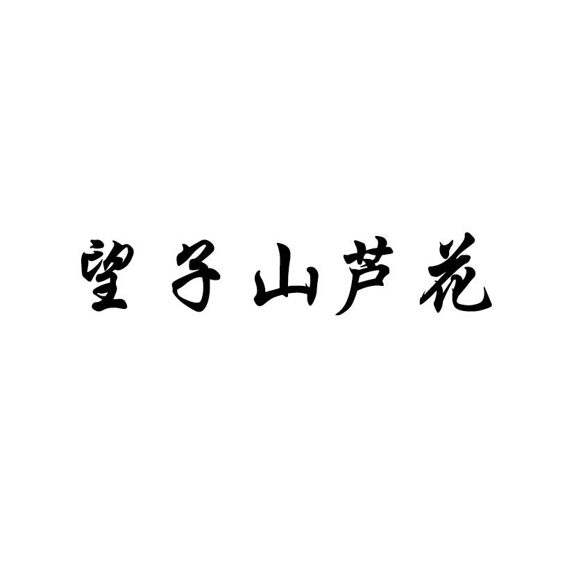 望子山芦花