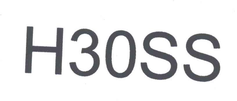 H30SS