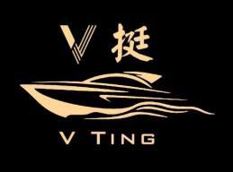V 挺 V TING