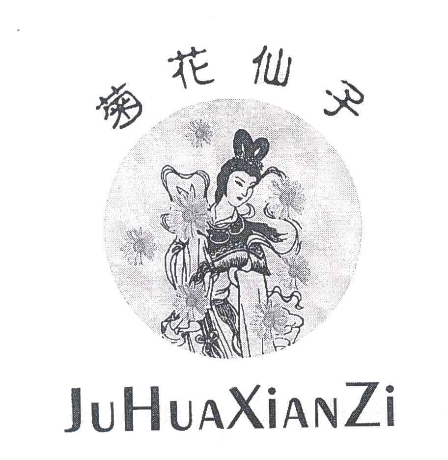 菊花仙子