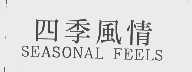 四季风情   SEASONAL FEELS