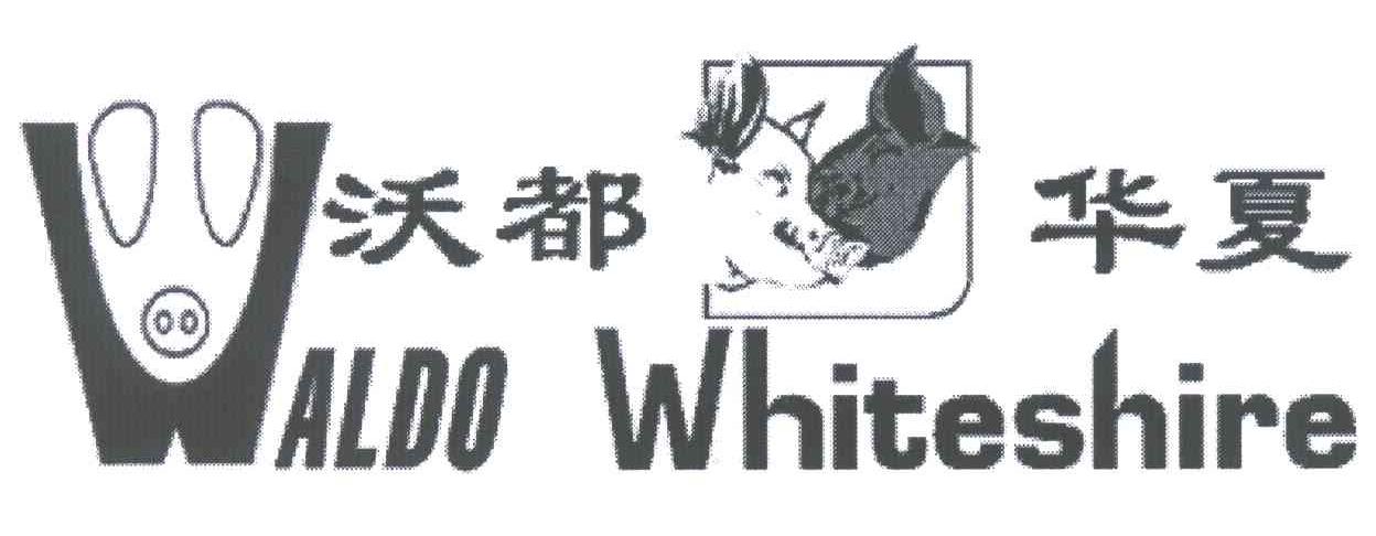 沃都华夏;WADO WHITESHIRE