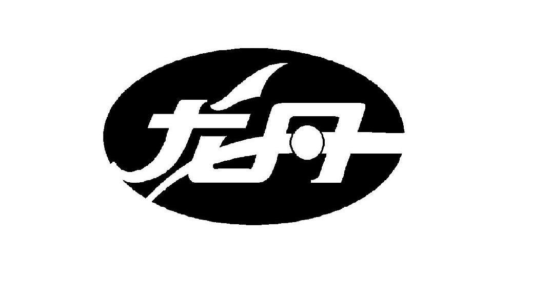 龙丹