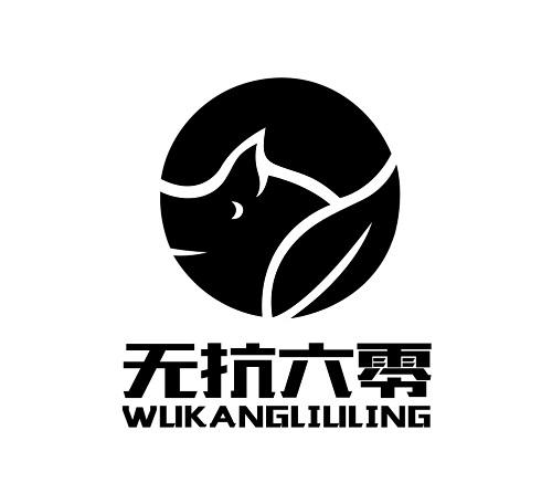 无抗六零