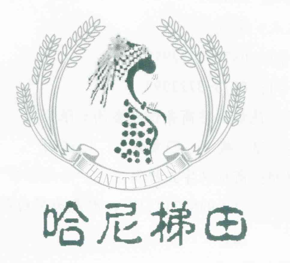 哈尼梯田