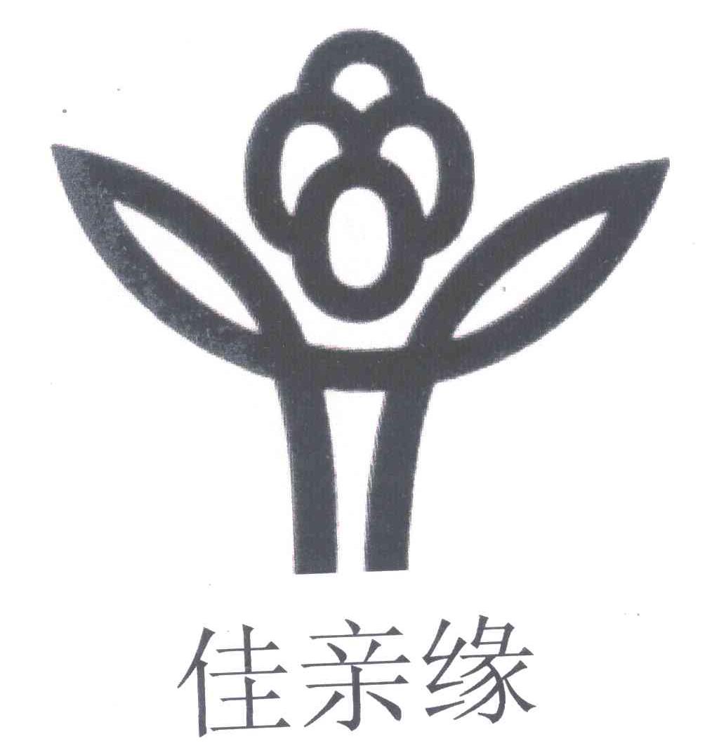 佳亲缘