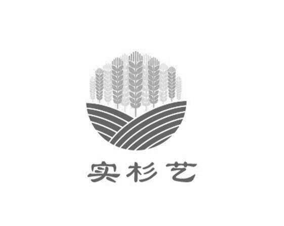 实杉艺