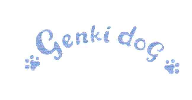 GENKIDOG