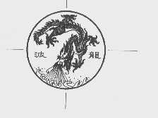 波龙