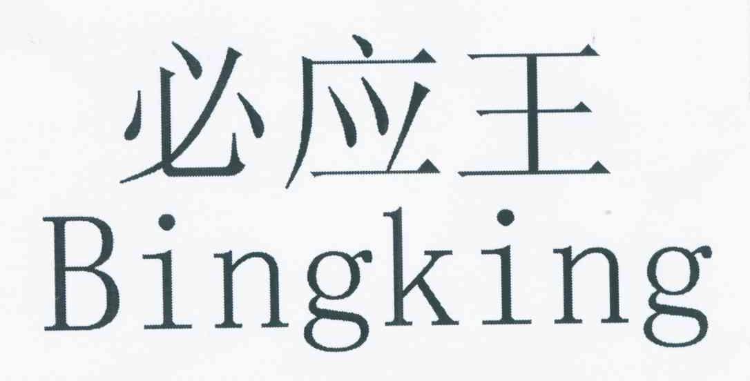 必应王 BINGKING