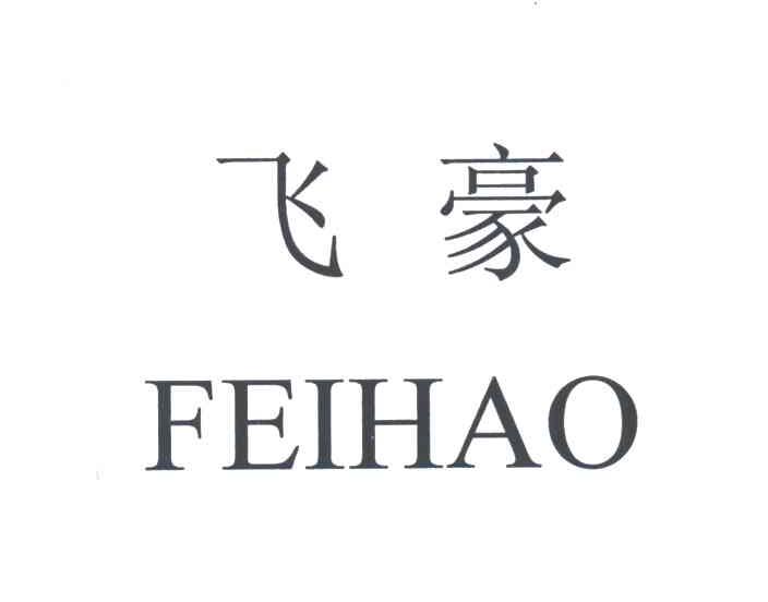 飞豪