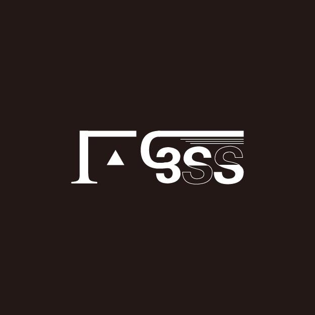 3 SS