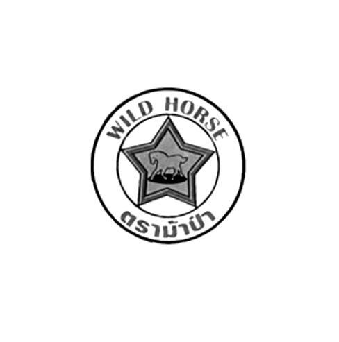 WILD HORSE