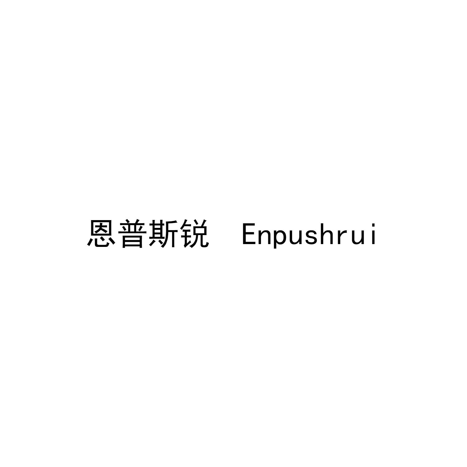 恩普斯锐 ENPUSHRUI