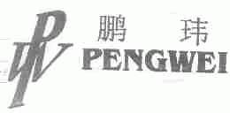 鹏玮