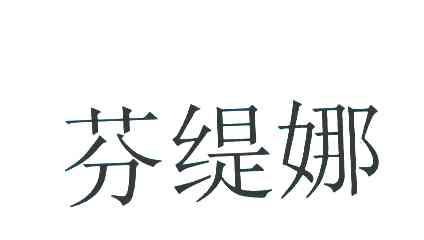 芬缇娜