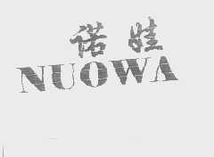 诺娃