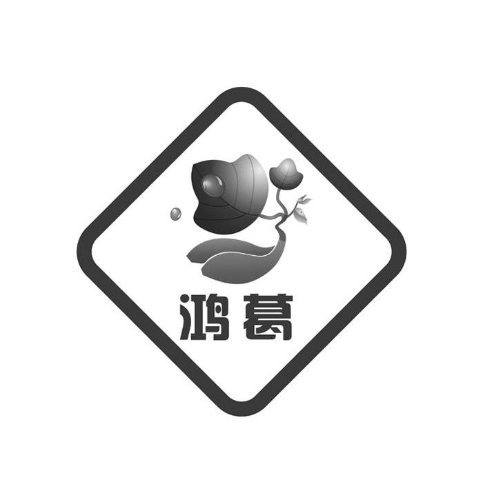 鸿葛