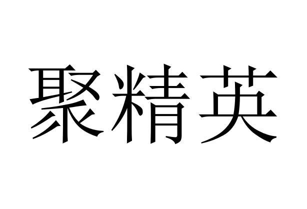 聚精英