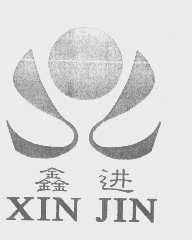 鑫进