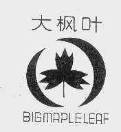 大枫叶   BIGMAPLELEAF