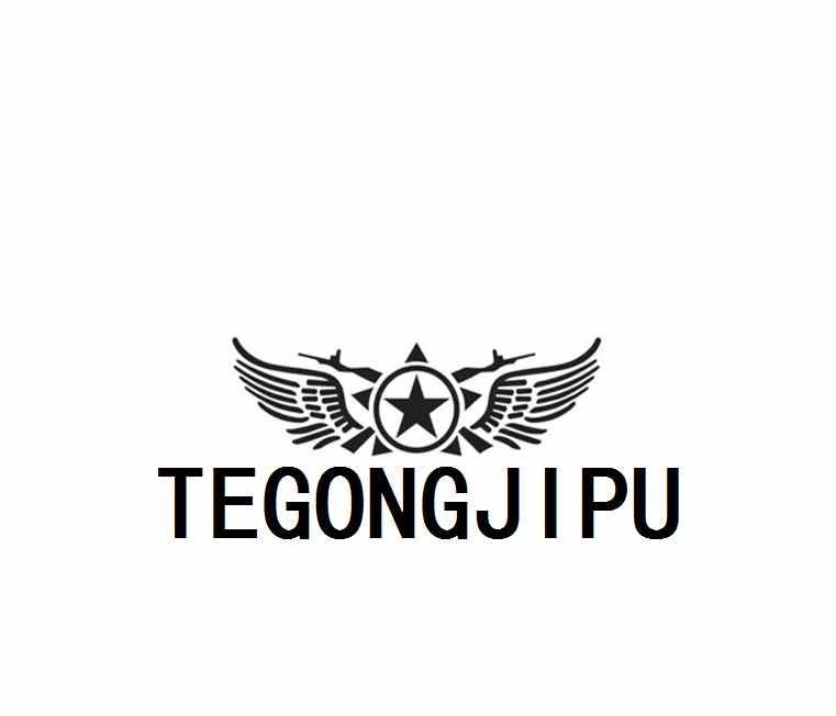 TEGONGJIPU