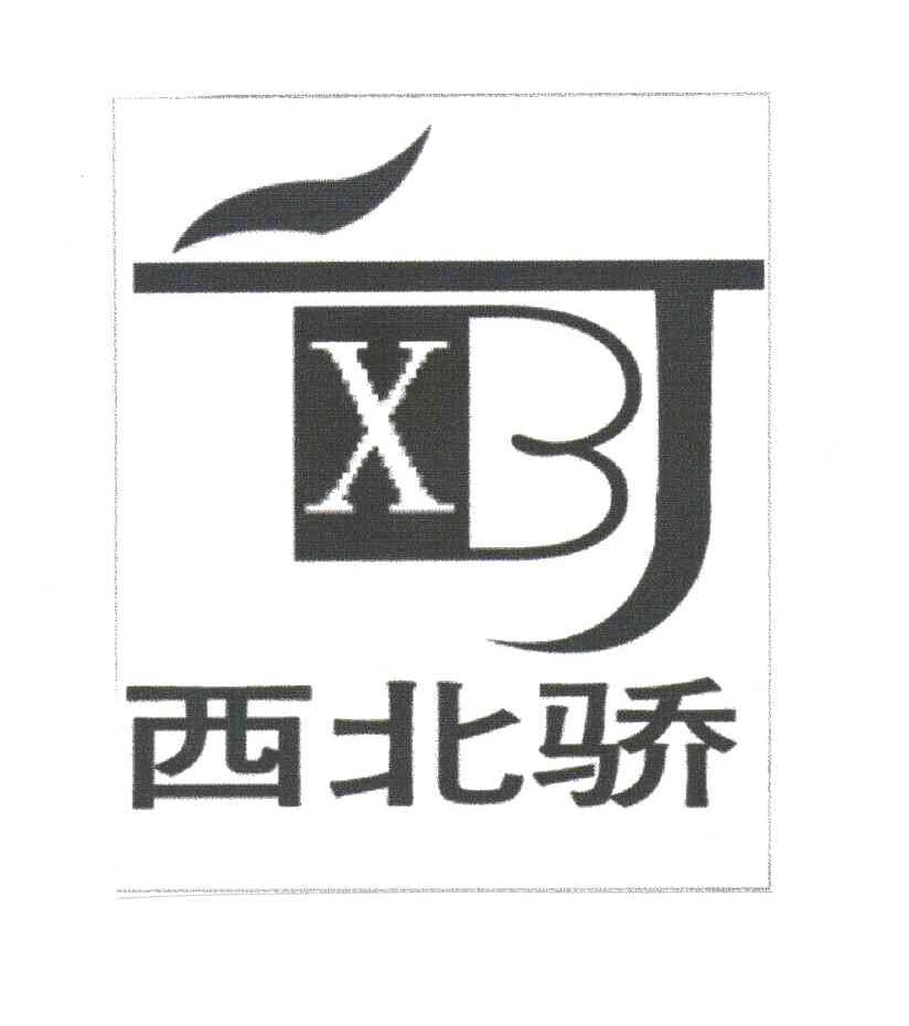 西北骄;XBJ