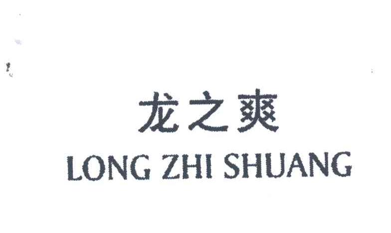 龙之爽;LONG ZHI SHUANG