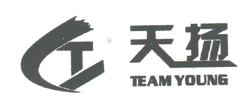 天扬;TEAM YOUNG