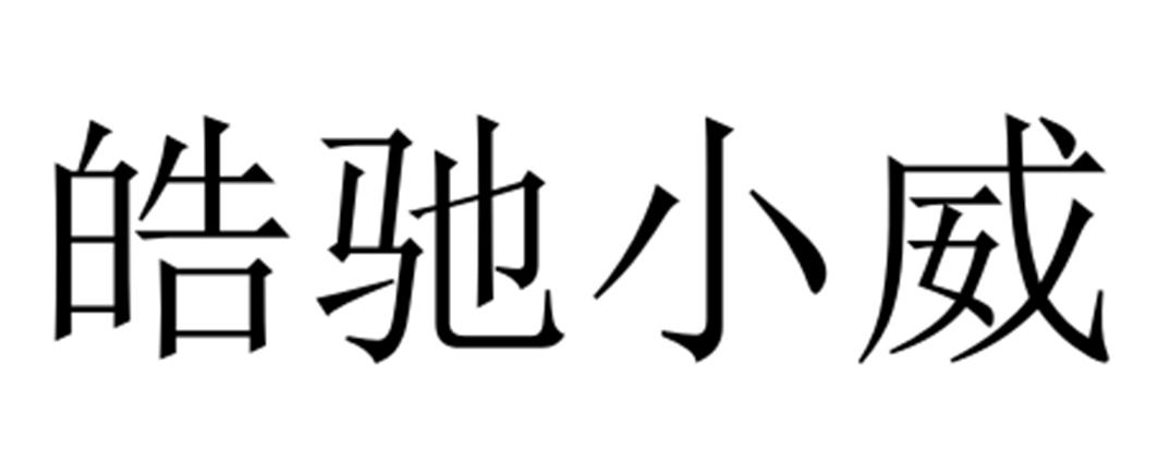 皓驰小威