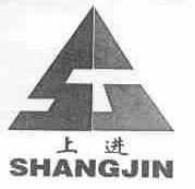 上进