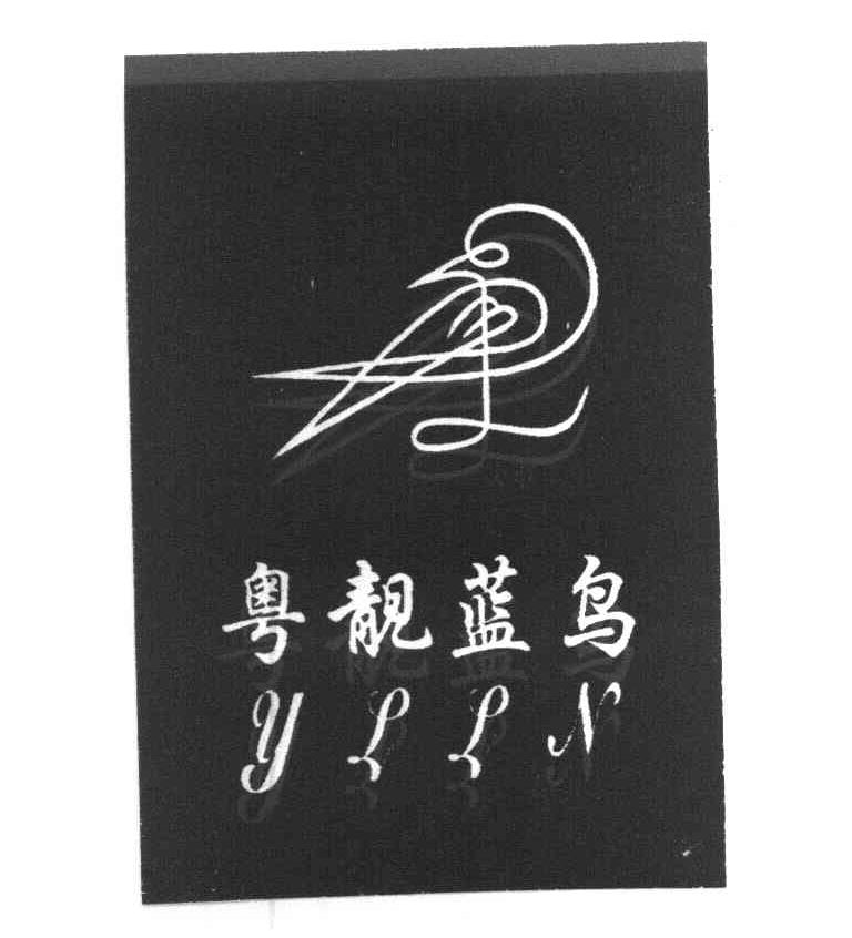 粤靓蓝鸟 YLLN