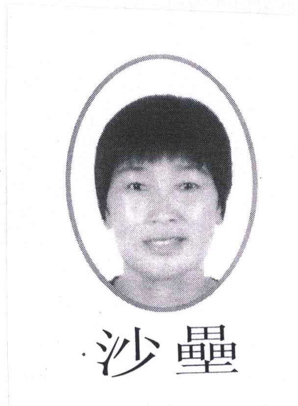 沙壘