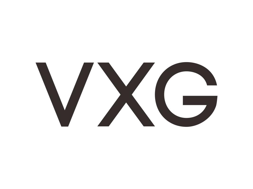 VXG