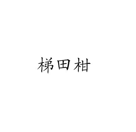 梯田柑
