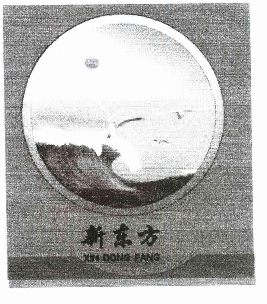 新东方